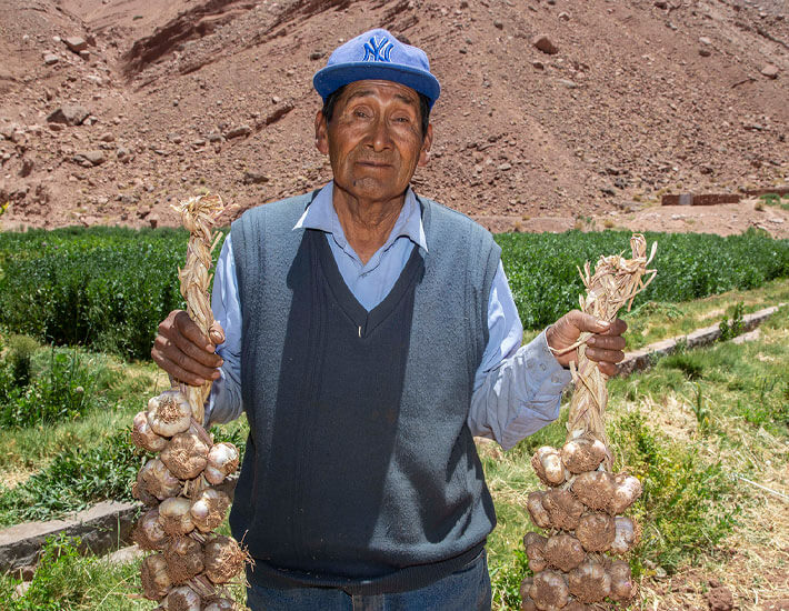 communities garlic crop recovery program project
