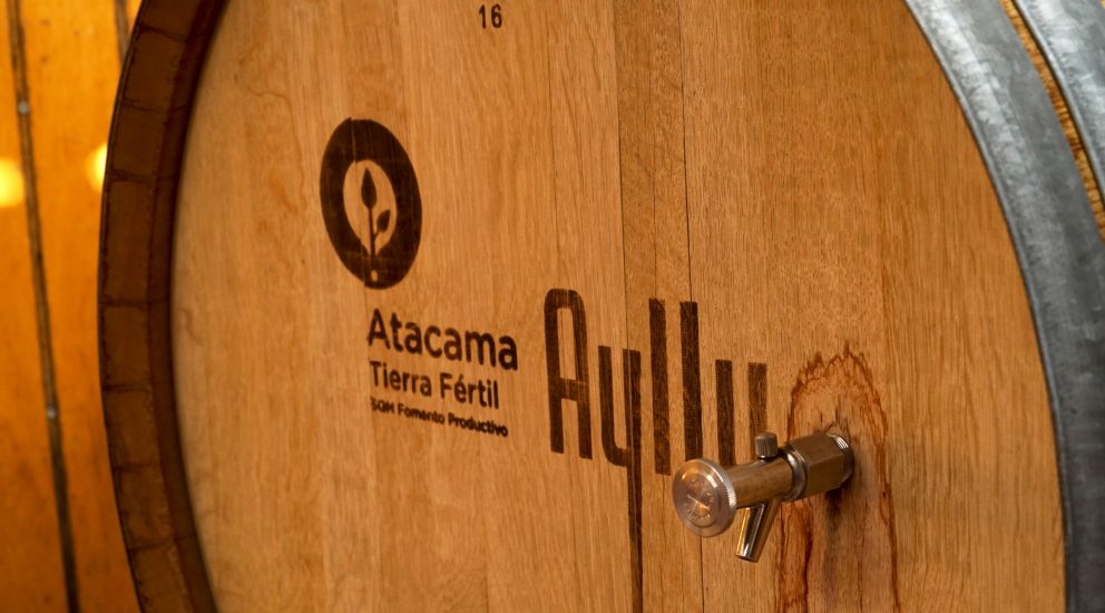 VINEYARDS 5 992x550 1