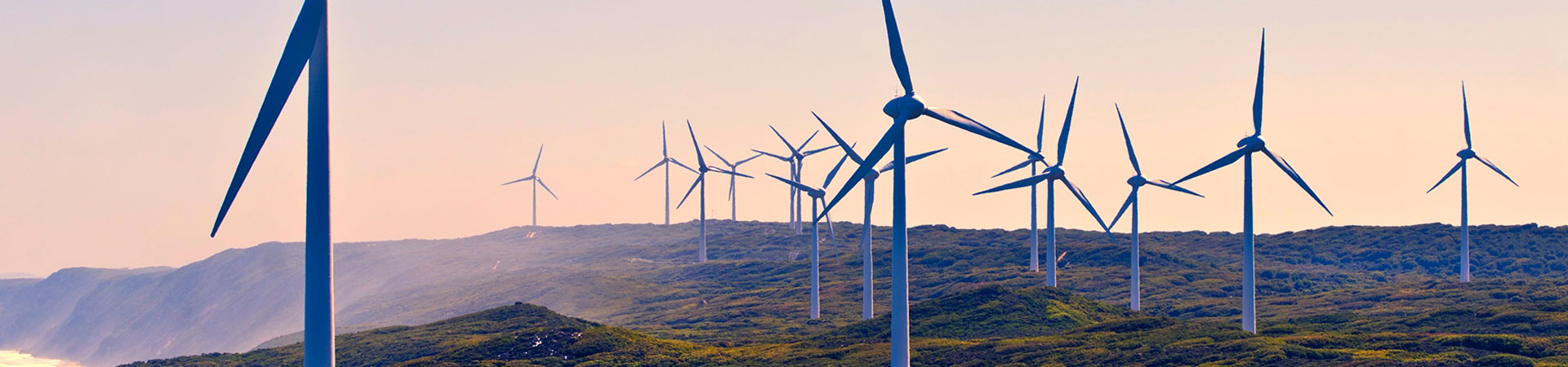 Certification under the ISO 9001: 2015 standard