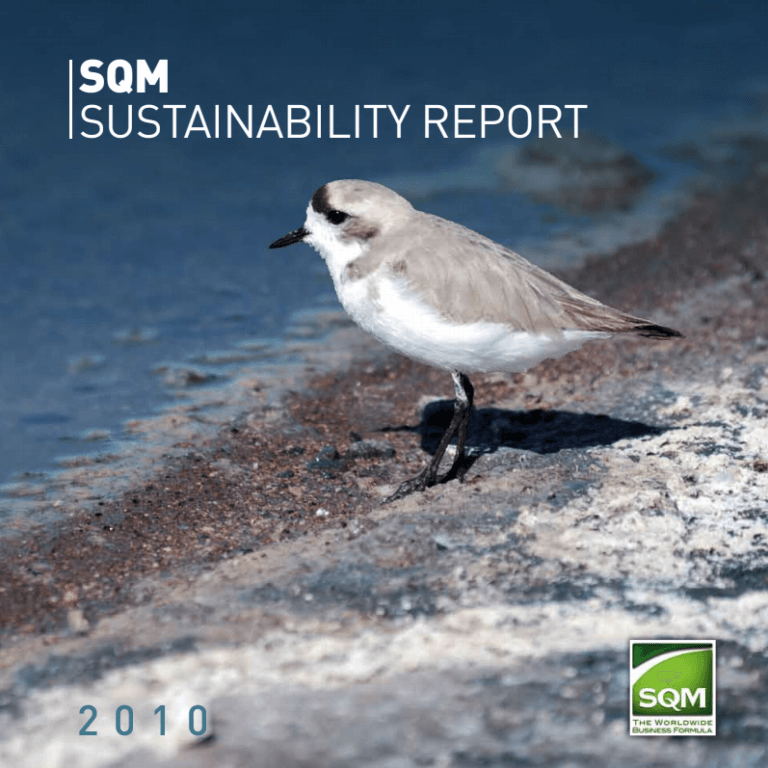 Sustainability Report 2010 Esp