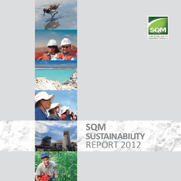Sustainability Report 2012 Is
